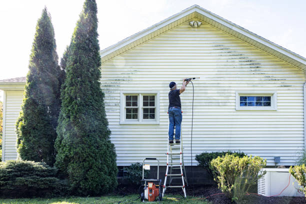 Best Roof Washing  in Deshler, OH
